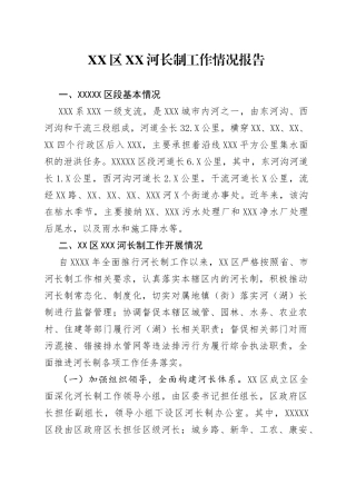 区XX河长制工作情况报告