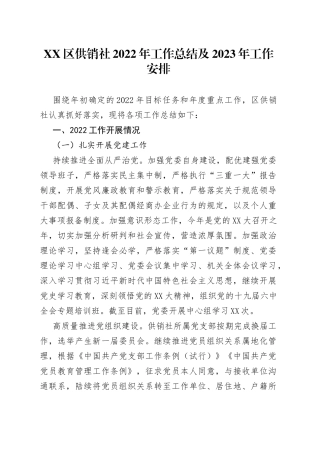区供销社2022年工作总结及2023年工作安排