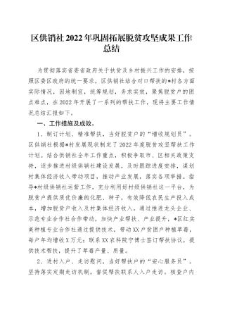 区供销社2022年巩固拓展脱贫攻坚成果工作总结