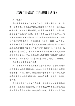 区级“田长制”工作规则（试行）