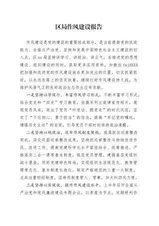 区局作风建设报告（1）