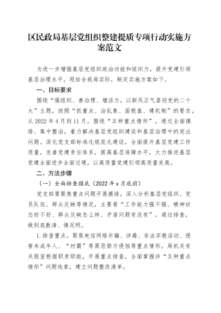 区民政局基层党组织整建提质专项行动实施方案工作方案