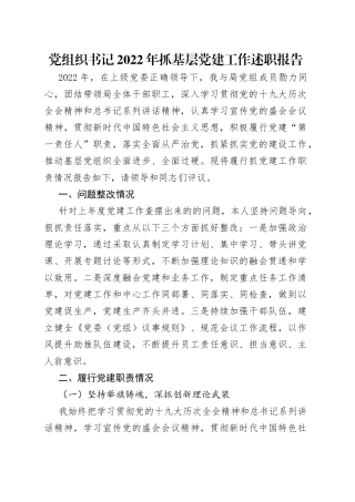 党组织书记2022年抓基层党建工作述职报告
