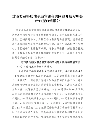 对市委巡察反馈基层党建有关问题开展专项整治自查自纠报告