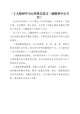 二十大精神学习心得体会范文（融媒体中心主任）