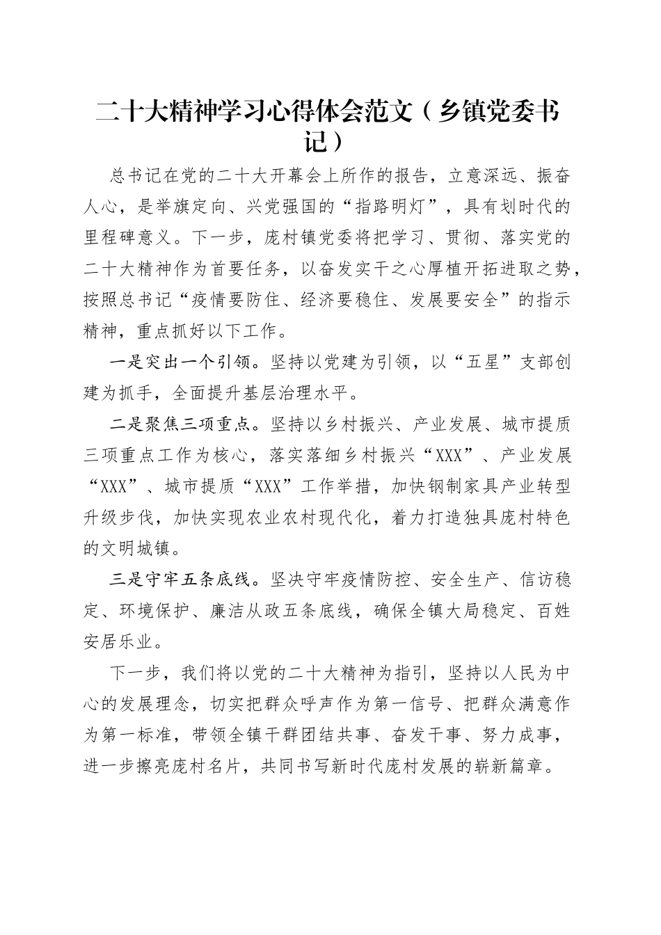 二十大精神学习心得体会范文（乡镇党委书记）_第1页