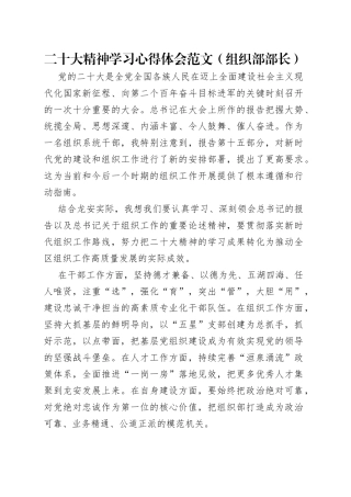 二十大精神学习心得体会范文（组织部部长）