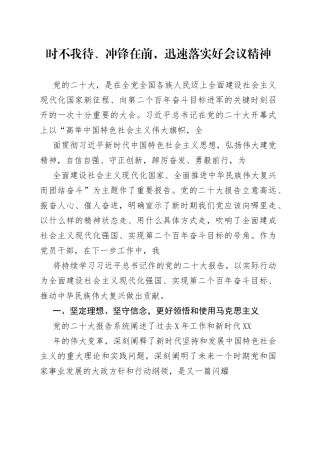 二十大心得：时不我待、冲锋在前，迅速落实好会议精神5893_1
