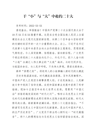 二十大学习心得：于“小”与“大”中赴约二十大29
