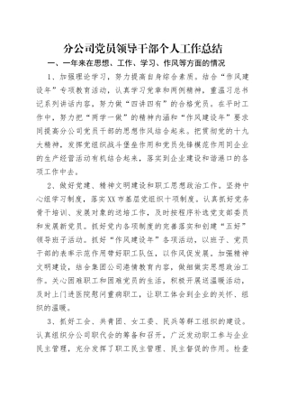 分公司党员领导干部个人工作总结