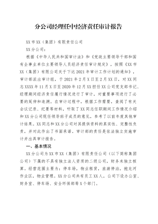 分公司经理任中经济责任审计报告