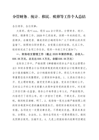 分管财务、统计、移民、殡葬等工作个人总结