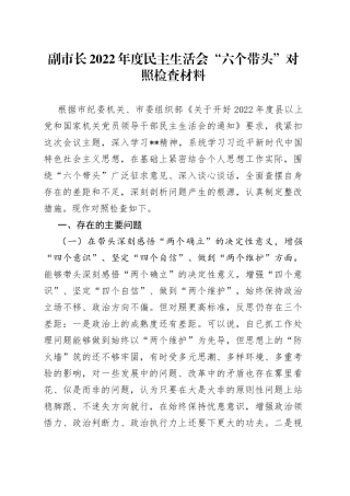 个人副市长2022年度民主生活会“六个带头”对照检查材料