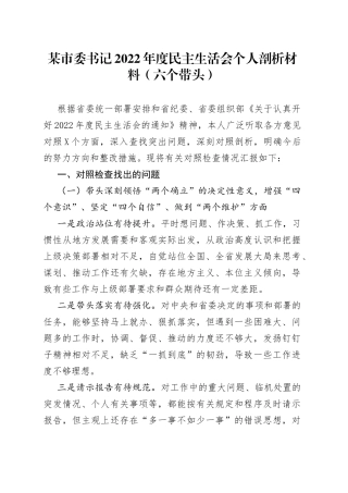 个人市委书记2022年度民主生活会个人剖析材料（六个带头）21