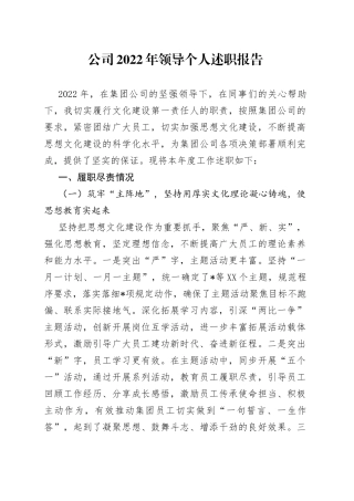 公司2022年领导个人述职报告