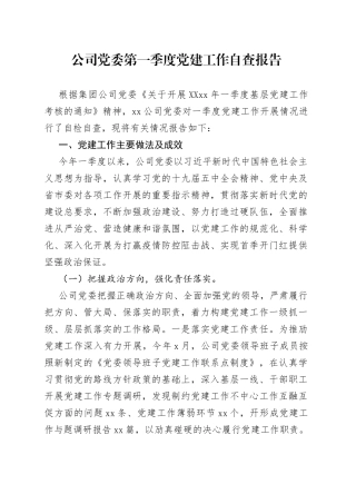 公司党委第一季度党建工作自查报告