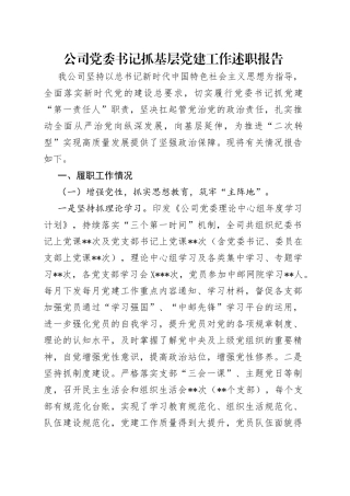 公司党委书记抓基层党建工作述职报告（1）