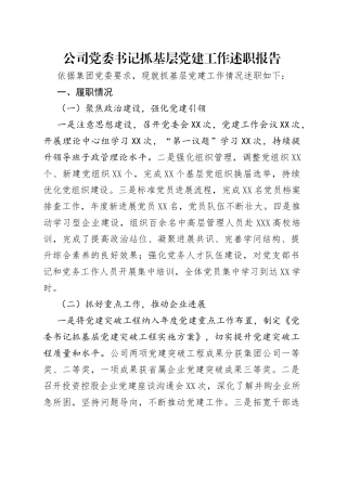 公司党委书记抓基层党建工作述职报告