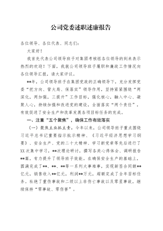 公司党委述职述廉报告74