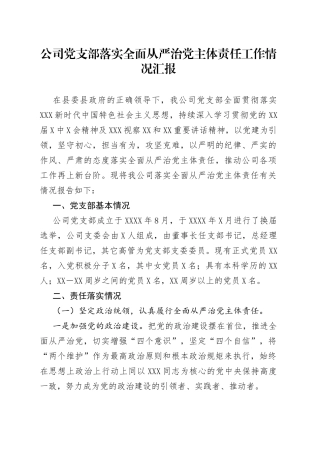 公司党支部落实全面从严治党主体责任工作情况汇报
