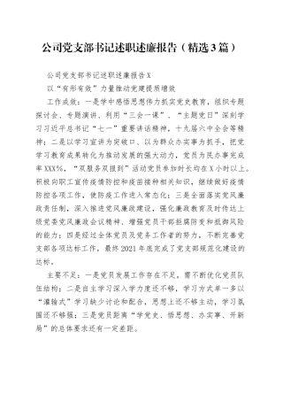 公司党支部书记述职述廉报告（精选3篇）