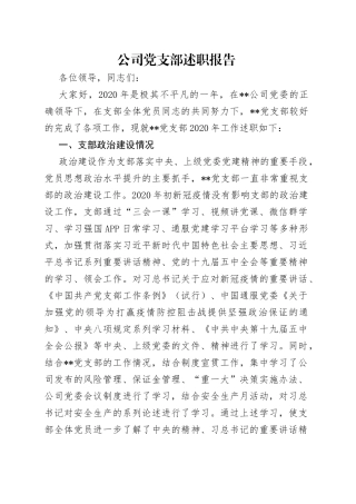 公司党支部述职报告