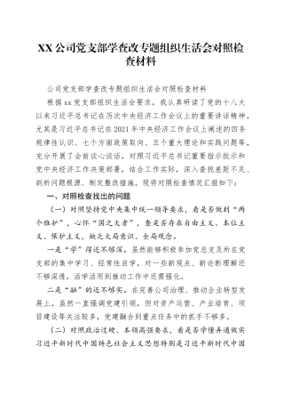 公司党支部学查改专题组织生活会对照检查材料（1）