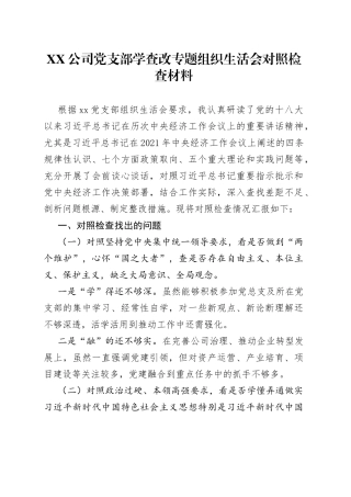 公司党支部学查改专题组织生活会对照检查材料