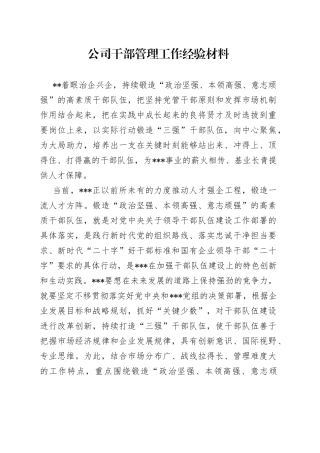 公司干部管理工作经验材料