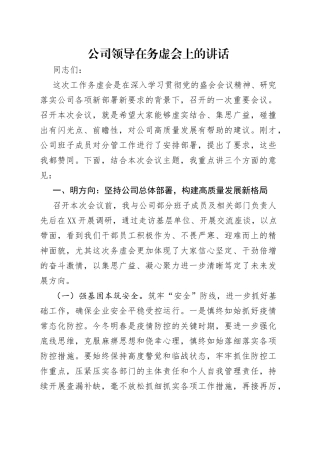公司领导在务虚会上的讲话