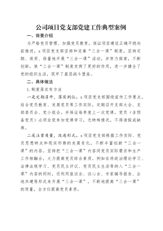 公司项目党支部党建工作典型案例