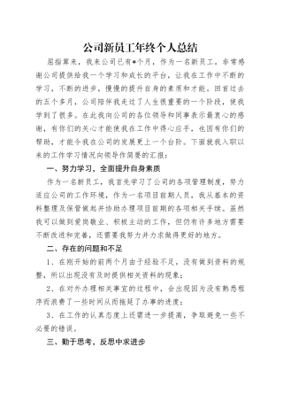 公司新员工年终个人总结