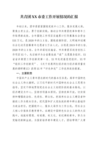 共青团市委工作开展情况的汇报
