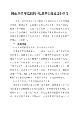 国企2022年党组织书记抓基层党建述职报告