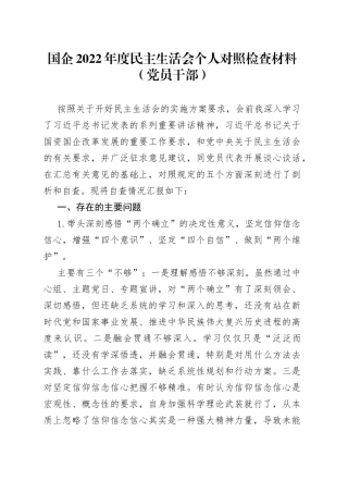 国企2022年度民主生活会个人对照检查材料（党员干部）