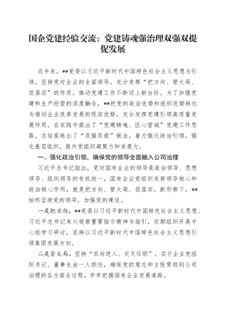 国企党建经验交流：党建铸魂强治理双强双提促发展52