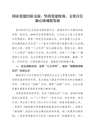 国企党建经验交流：坚持党建统领，文化自信凝心铸魂促发展5