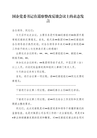 国企党委书记在巡察整改反馈会议上的表态发言