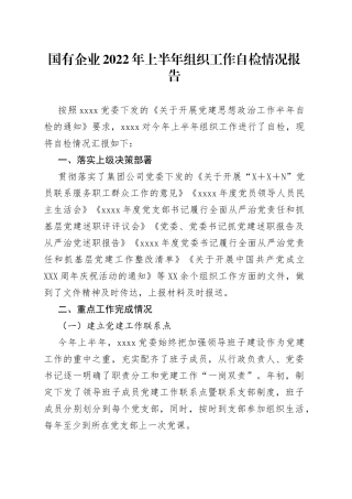 国有企业2022年上半年组织工作自检情况报告