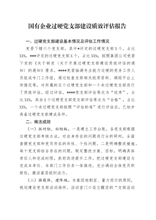 国有企业过硬党支部建设质效评估报告