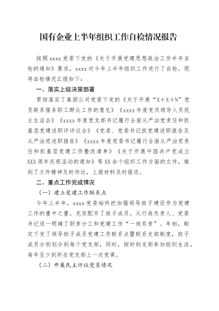 国有企业上半年组织工作自检情况报告