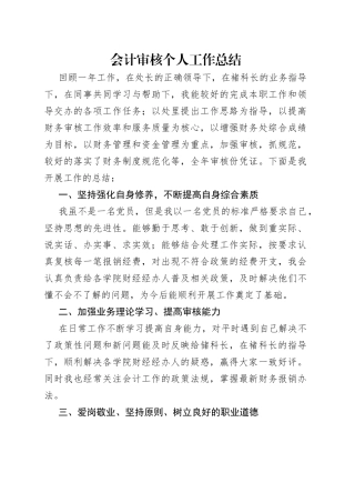 会计审核个人工作总结