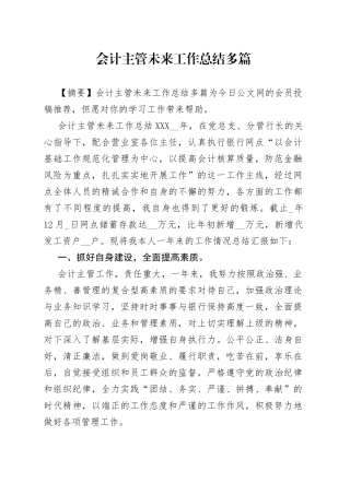 会计主管未来工作总结多篇