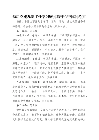 基层党建办副主任学习盛会精神心得体会范文