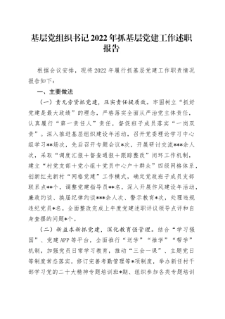 基层党组织书记2022年抓基层党建工作述职报告10