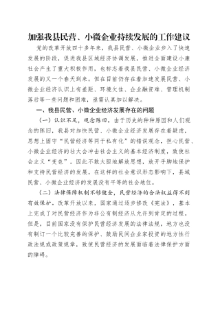 加强我县民营、小微企业持续发展的工作建议