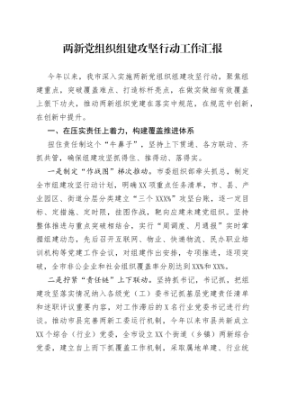 两新党组织组建攻坚行动工作汇报2003