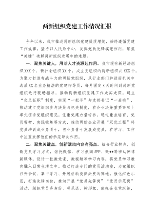 两新组织党建工作情况汇报