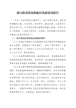 履行职责情况和廉洁从政情况报告