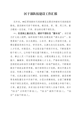 区干部队伍建设工作汇报